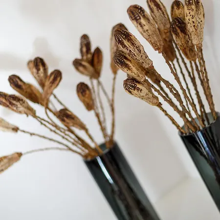 Dom wakacyjny Sylt 44 Mit Eigenem Strandkorb Am Wenningstedt-Braderup